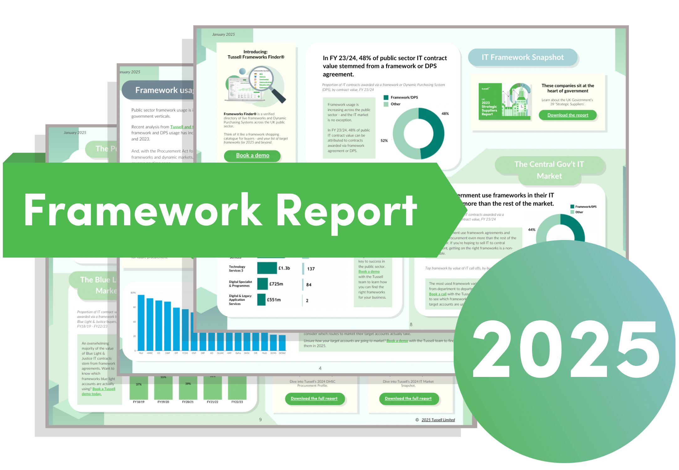 2025 Framework Report