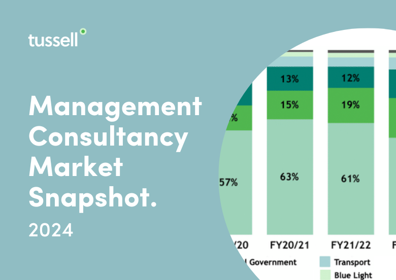 Management Consultancy 2024 Snapshot - Dark Green Tile (2)