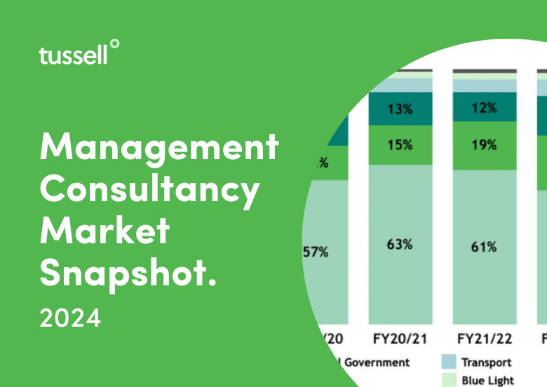 Management Consultancy 2024 Snapshot - Dark Green Tile