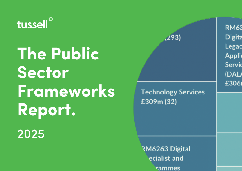 Public Sector Framework Report 2025 (3)