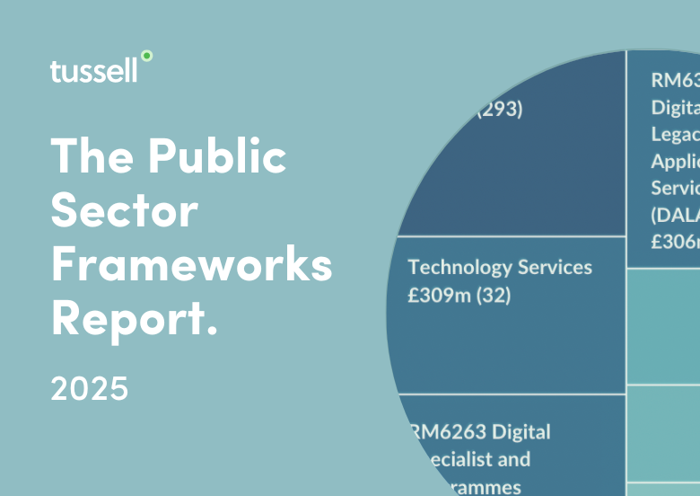 Public Sector Framework Report 2025