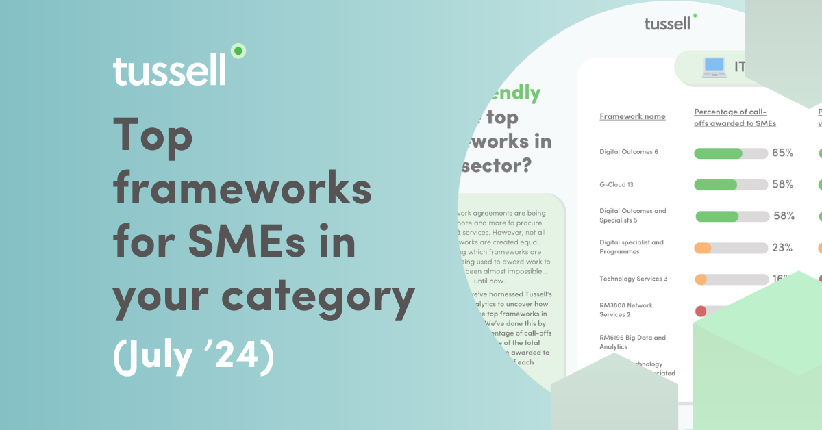 Top frameworks for SMEs in your category (July '24)